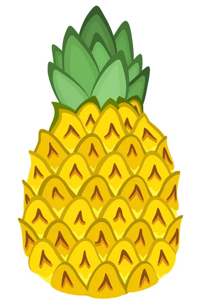 Illustration Lumineuse Isolée Vectorielle Ananas Plante Tropicale — Image vectorielle