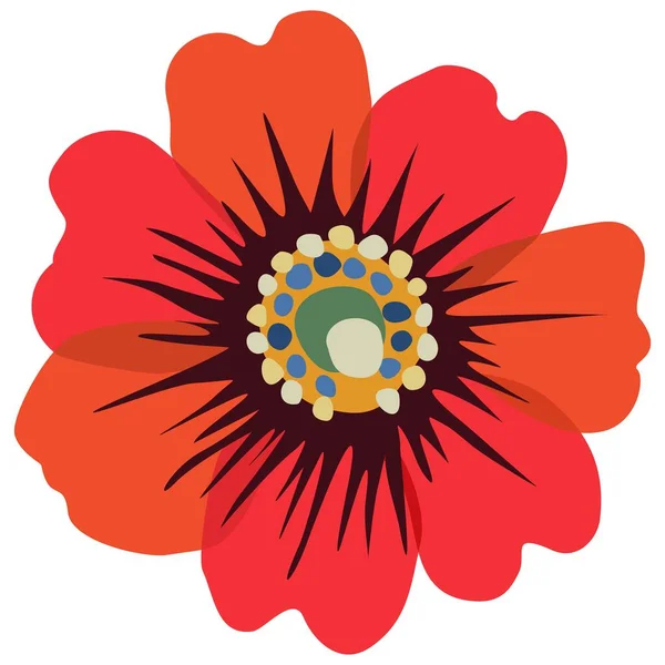 Kırmızı gelinciğin vektör izole çiçeği.