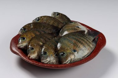 Taze çiğ Kari meen _ İnci benekli balık bir toprak kabında dizilmiş.