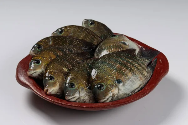 Čerstvé Syrové Kari Meen Pearl Bodové Ryby Uspořádané Hliněné Nádobě — Stock fotografie