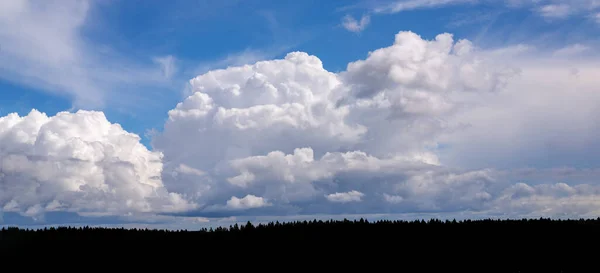 Cielo Blu Nuvole Bianche Ampio Panorama Foresta Strisce Scure Spazio — Foto Stock