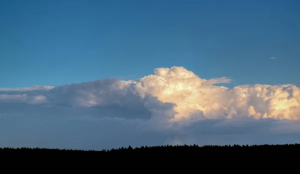 Langit Biru Dan Awan Putih Panorama Lebar Hutan Strip Gelap — Stok Foto