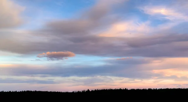 Bulutlu güzel gökyüzü Pembe bulutlu mavi gökyüzü. Güzel gün batımı. Geniş panorama. Karanlık Orman.
