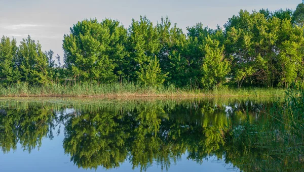 Reflection of the forest in the water in the summer.