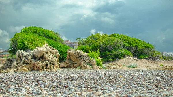 Taşlı deniz kıyısı ve mavi gökyüzü.