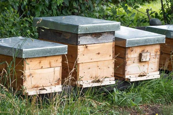 Ξύλινα Κουτιά Μελισσοκομίας — Φωτογραφία Αρχείου