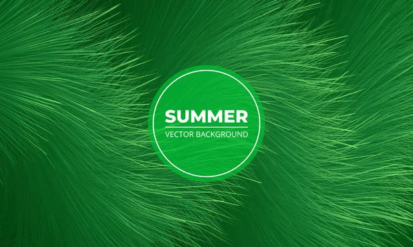 Sfondo vettoriale estate verde con erba. Ciao estate. — Vettoriale Stock