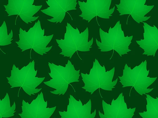 Vector realistic green maple leaves — Stockvector