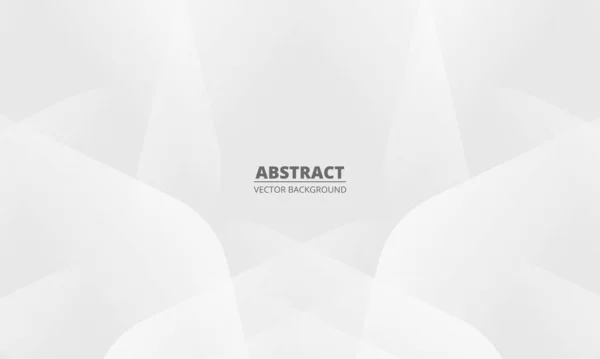 Abstract Wit Grafisch Ontwerp Presentatie Achtergrond Web Template Witte Grijze — Stockvector