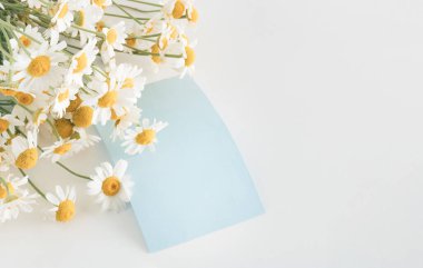 Mavi kartıyla açık arkaplanda papatya çayı. Taze bahar çiçeklerinin yaratıcı konsepti.