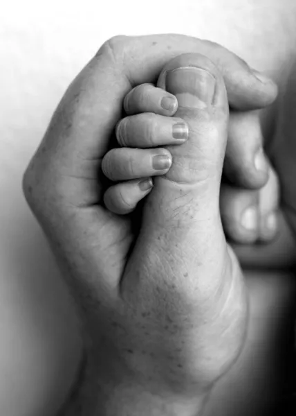 Yeni doğmuş bir bebeğin eli ve parmakları. Ebeveynler yeni doğmuş bebeklerinin parmaklarını elleriyle tutarlar.. — Stok fotoğraf
