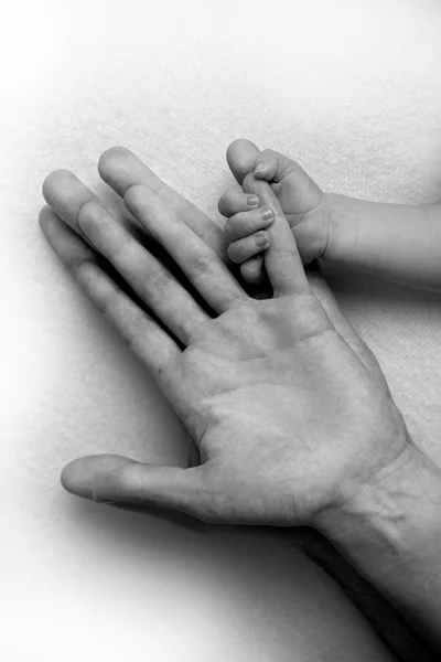 The hand and fingers of a newborn baby. Parents hold the fingers of their newborn baby with their hands.