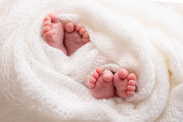 Los gemelos son bebés. Una foto de cerca de las piernas de los gemelos recién nacidos en un cuadros blancos. Pies y dedos de un recién nacido en una manta blanca suave —  Fotos de Stock