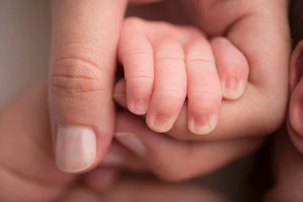 Yeni doğmuş bir bebeğin eli ve parmakları. Ebeveynler yeni doğmuş bebeklerinin parmaklarını elleriyle tutarlar.. — Stok fotoğraf
