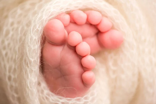 Een close-up foto van een pasgeborene benen op een witte ruit. Voeten en tenen van een pasgeborene in een zachte witte deken — Stockfoto