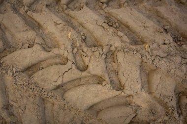 Büyük taşımacılıktan kumlu zeminde tekerlek izleri, inşaat alanında traktör, kumlu yol.