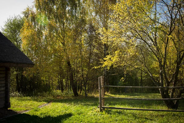 Ölü bir köyde terk edilmiş ahşap bir ev. Altın sonbahar. Eski kırsal mimari. — Stok fotoğraf