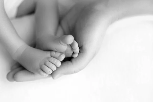 Fötter av den nyfödda i händerna på mamma närbild. Mamma och hennes barn. En vacker konceptuell bild av moderskap. — Stockfoto