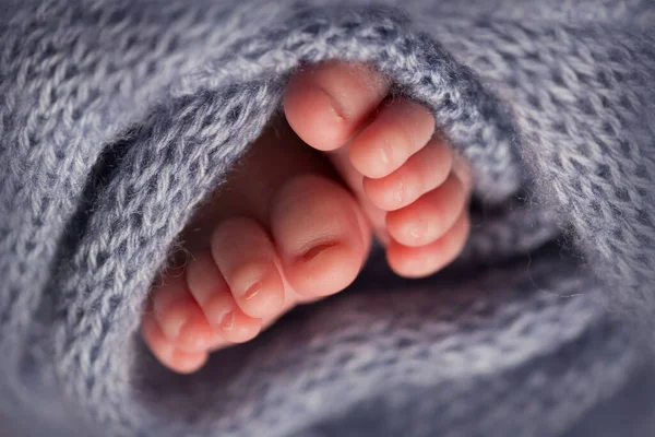 Piernas y dedos de los pies de un recién nacido en una manta gris suave —  Fotos de Stock