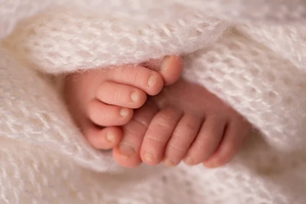 Yumuşak beyaz bir battaniyenin içinde yeni doğmuş bir bebeğin bacakları ve ayak parmakları. — Stok fotoğraf