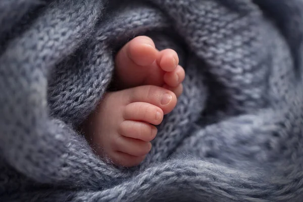 Piernas y dedos de los pies de un recién nacido en una manta gris suave —  Fotos de Stock
