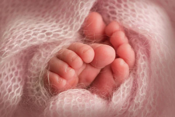 Piernas y dedos de los pies de un recién nacido en una manta rosa suave —  Fotos de Stock