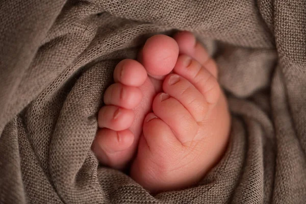 Piernas y dedos de los pies de un recién nacido en una manta suave —  Fotos de Stock
