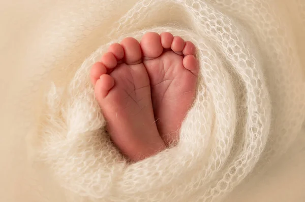 Los pies del recién nacido están envueltos en una manta blanca de punto. Recién nacido babys dedos de cerca. —  Fotos de Stock
