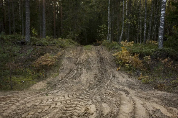 Wheel trail on sandy ground from large transport, tractor on construction site, sandy road