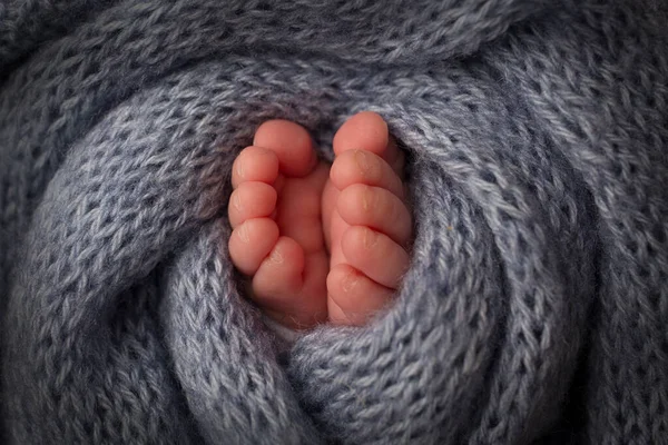 Piernas, pies, pies y talones de un bebé recién nacido. Envuelto en una manta de punto gris. —  Fotos de Stock