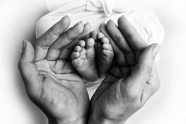 Piernas, dedos de los pies, pies y talones de un recién nacido. Con las manos de los padres, padre, madre sostiene suavemente las piernas de los niños. Foto en blanco y negro. — Foto de Stock