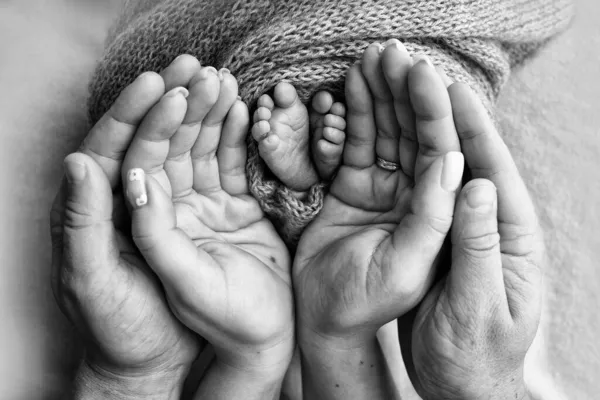 Egy újszülött lába, lábujja, lába és sarka. A szülők, apa, anya és nővér kezével a testvér gyengéden fogja a gyerekek lábát. Fekete-fehér fénykép. — Stock Fotó