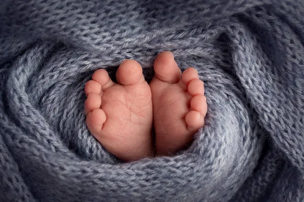 Piernas, pies, pies y talones de un bebé recién nacido. Envuelto en una manta de punto gris. —  Fotos de Stock