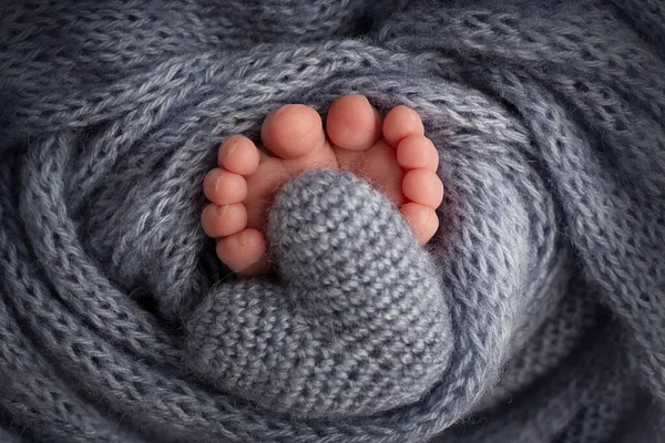 Benen, tenen, voeten en hakken van een pasgeborene. Verpakt in een grijze gebreide deken. Gebreide hart in babys benen. — Stockfoto