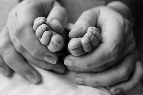 Ben, tår, fötter och hälar från en nyfödd. Med händerna på föräldrar, far, håller mor försiktigt barnbenen. Makrofotografering, närbild. Svart och vitt foto. — Stockfoto