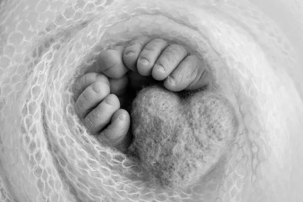 Gambe, dita dei piedi, piedi e tacchi di un neonato. Avvolto in una coperta di maglia bianca, avvolto. Macro fotografia, primo piano. Cuore blu lavorato a maglia nelle gambe dei bambini. Foto in bianco e nero. — Foto Stock