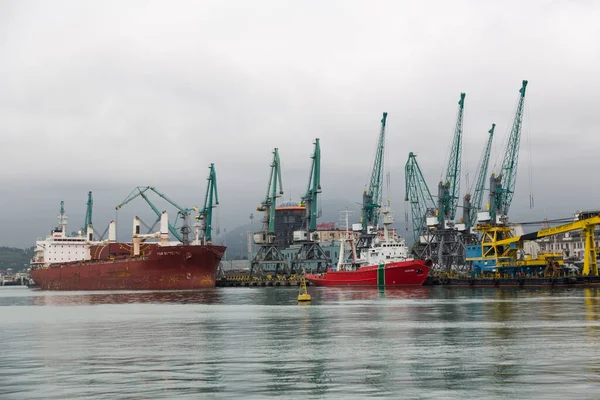 Batumi, Georgia - June 26, 2021: View of the seaport of Batumi. Port cranes. Cargo terminal. Ships and berths. — Stock Photo, Image