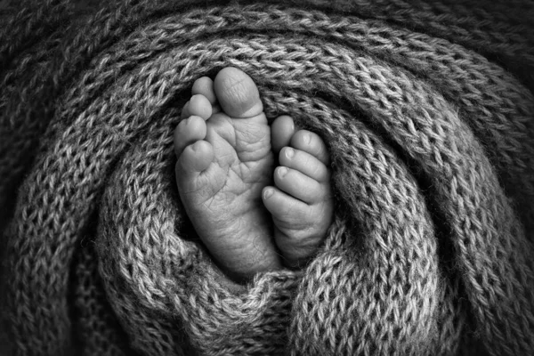Yeni doğmuş bir bebeğin bacakları, parmakları, ayakları ve topukları. Örülmüş bir battaniyeye sarılmış. Siyah beyaz fotoğraf. — Stok fotoğraf