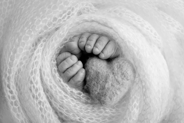 Piernas, dedos de los pies, pies y talones de un recién nacido. Envuelto en una manta de punto blanco, envuelto. Fotografía macro, primer plano. Corazón azul de punto en piernas de bebé. Foto en blanco y negro. —  Fotos de Stock