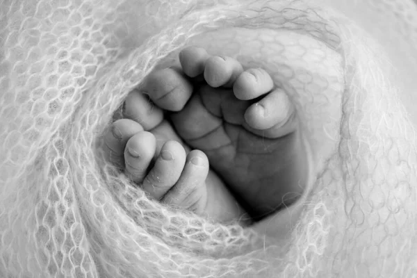 Egy újszülött lába, lábujja, lába és sarka. Egy fehér kötött takaróba csomagolva, becsomagolva. Makro fotózás, közelkép. Fekete-fehér fénykép. — Stock Fotó