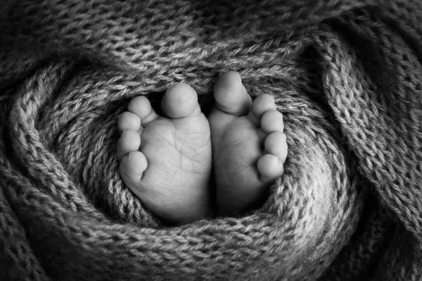 Yeni doğmuş bir bebeğin bacakları, parmakları, ayakları ve topukları. Örülmüş battaniyeye sarılmış. Siyah beyaz fotoğraf. — Stok fotoğraf