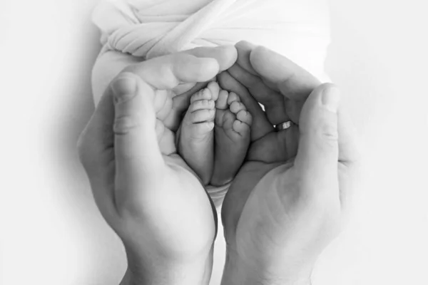 Egy újszülött lába, lábujja, lába és sarka. Szülők kezével, apa, anya gyengéden fogja a gyerekek lábát. Makro fotózás, közelkép. Fekete-fehér fénykép. — Stock Fotó
