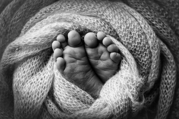 Nohy, prsty na nohou, nohy a podpatky novorozence. Zabalená v pleteném obalu. Černobílá fotografie. — Stock fotografie