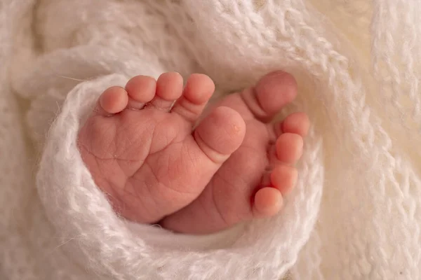 The tiny foot of a newborn. Soft feet of a newborn in a white woolen blanket. Close up of toes, heels and feet of a newborn baby. Studio Macro photography. Womans happiness. Photography, concept. — Stock Photo, Image