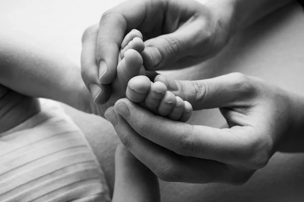 Farens håndflater, moren, holder den nyfødte barnets fot. Føttene til den nyfødte på foreldrenes hender. Fotografering av barnslige tær, hæler og føtter. Svart og hvit. – stockfoto
