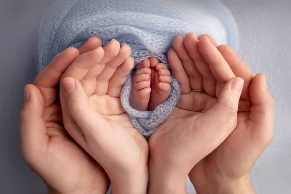 Dlaně otce, matky drží nohu novorozence v modré přikrývce. Nohy novorozence na dlaních rodičů. Studio fotografie dětských prstů, podpatků a chodidel. — Stock fotografie