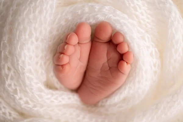 The tiny foot of a newborn. Soft feet of a newborn in a white woolen blanket. Close up of toes, heels and feet of a newborn baby. Studio Macro photography. Womans happiness. Photography, concept. — Stock Photo, Image