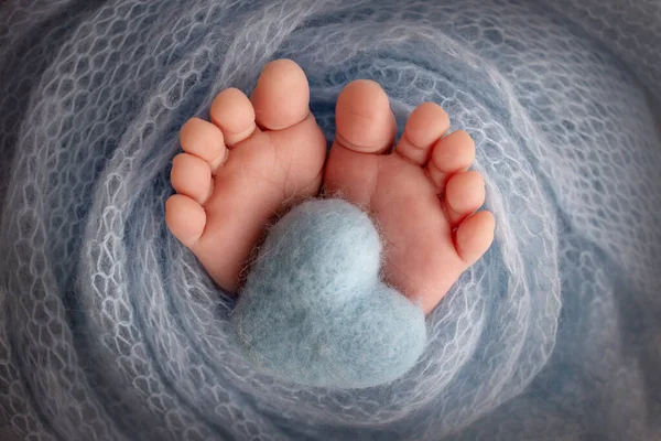 El pequeño pie de un bebé recién nacido. Pies suaves de un recién nacido en una manta azul. Primer plano de los dedos de los pies, tacones y pies de un recién nacido. Corazón azul de punto en las piernas de un bebé. Estudio macro fotografía. —  Fotos de Stock