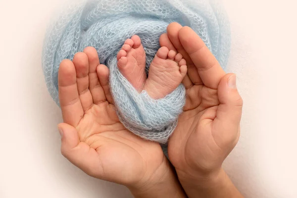 Las palmas del padre, la madre están sosteniendo el pie del bebé recién nacido en una manta azul. Los pies del recién nacido en las palmas de las manos de los padres. Estudio de fotografía de un niño dedos de los pies, tacones y pies. — Foto de Stock