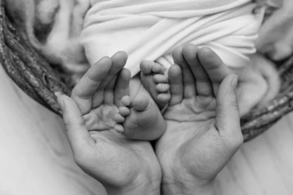 As palmas das mãos do pai, a mãe está segurando o pé do bebê recém-nascido. Pés do recém-nascido nas palmas das mãos dos pais. Fotografia de estúdio de umas crianças dedos do pé, saltos altos e pés. Preto e branco. — Fotografia de Stock